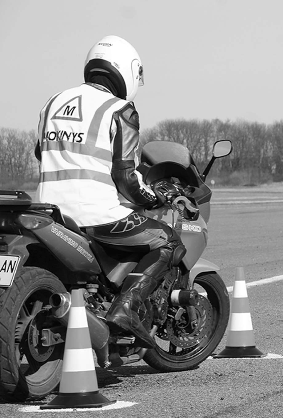 honda gyvatukas matas 2